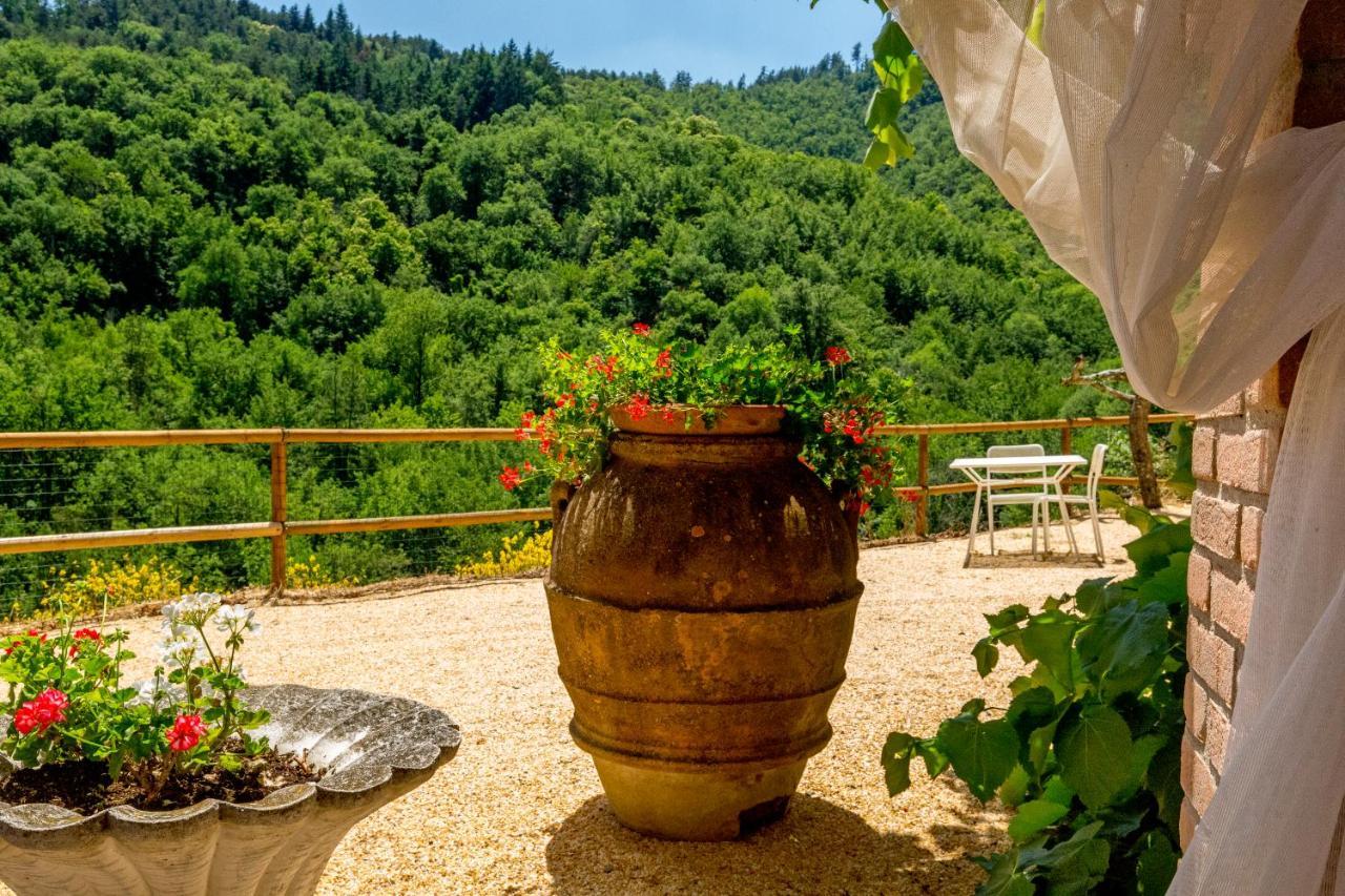 Podere Figlinelle Starda Exteriér fotografie