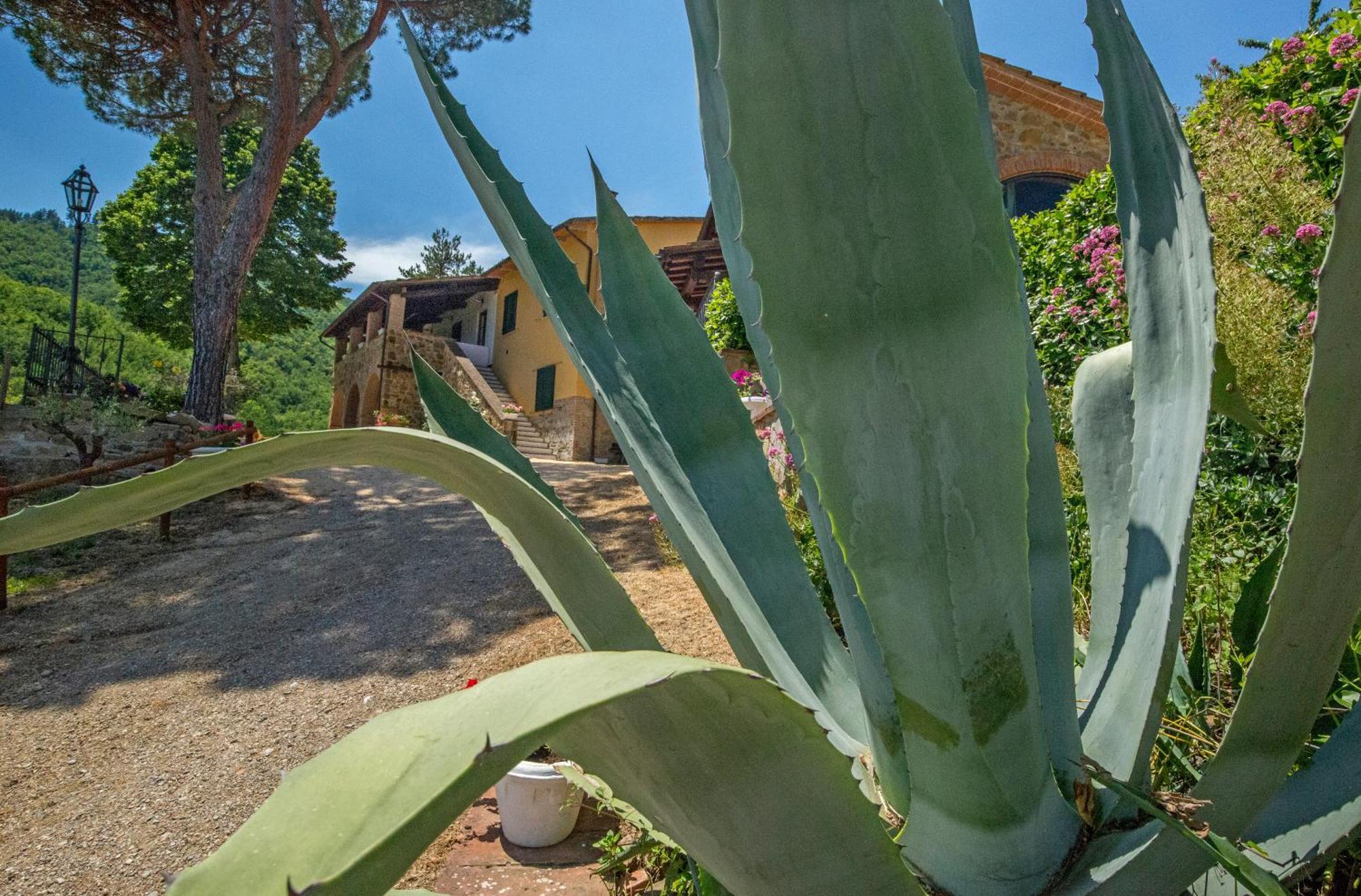 Podere Figlinelle Starda Exteriér fotografie